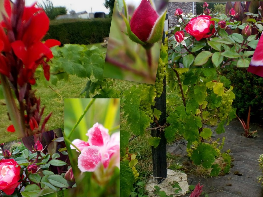 Environnement fleuri