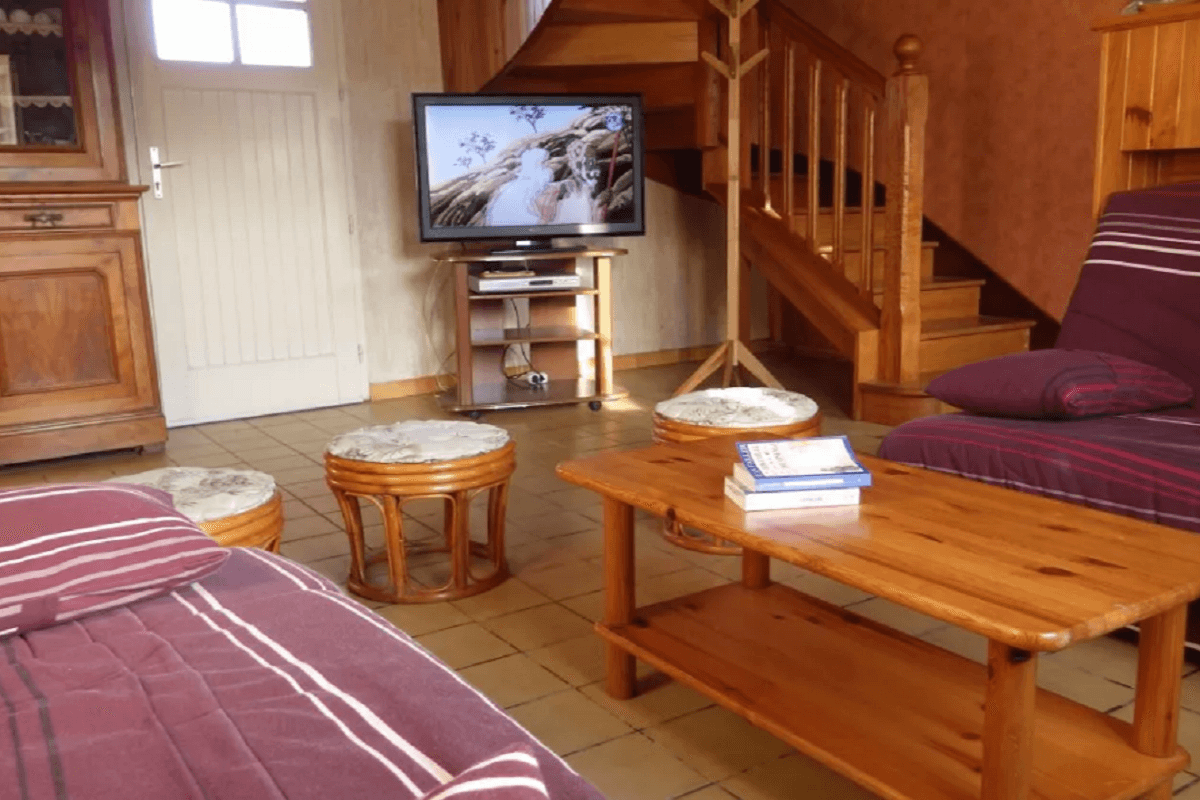 salon TV avec accès au jardin