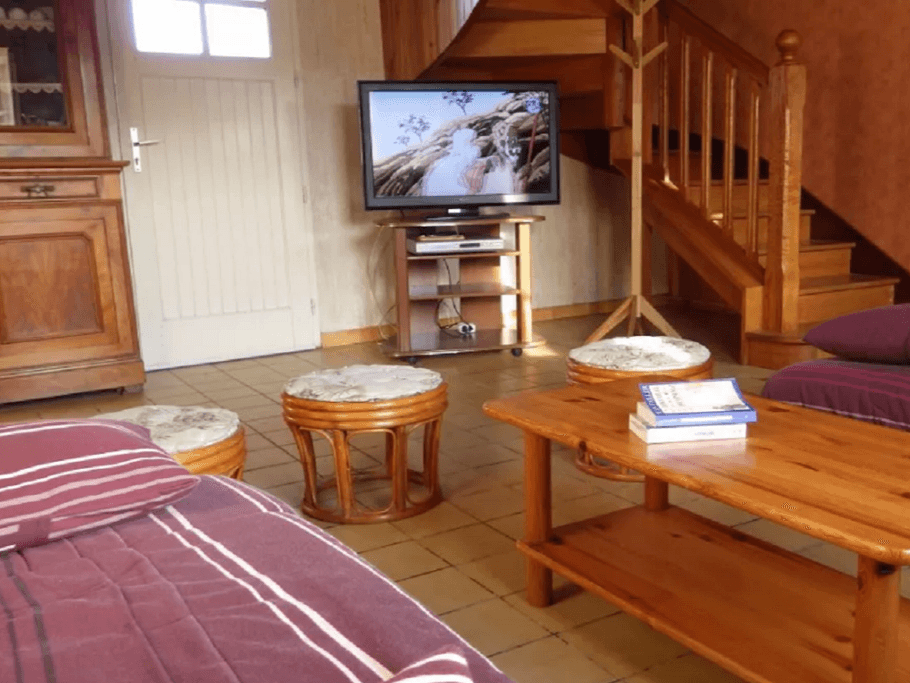 salon TV avec accès au jardin