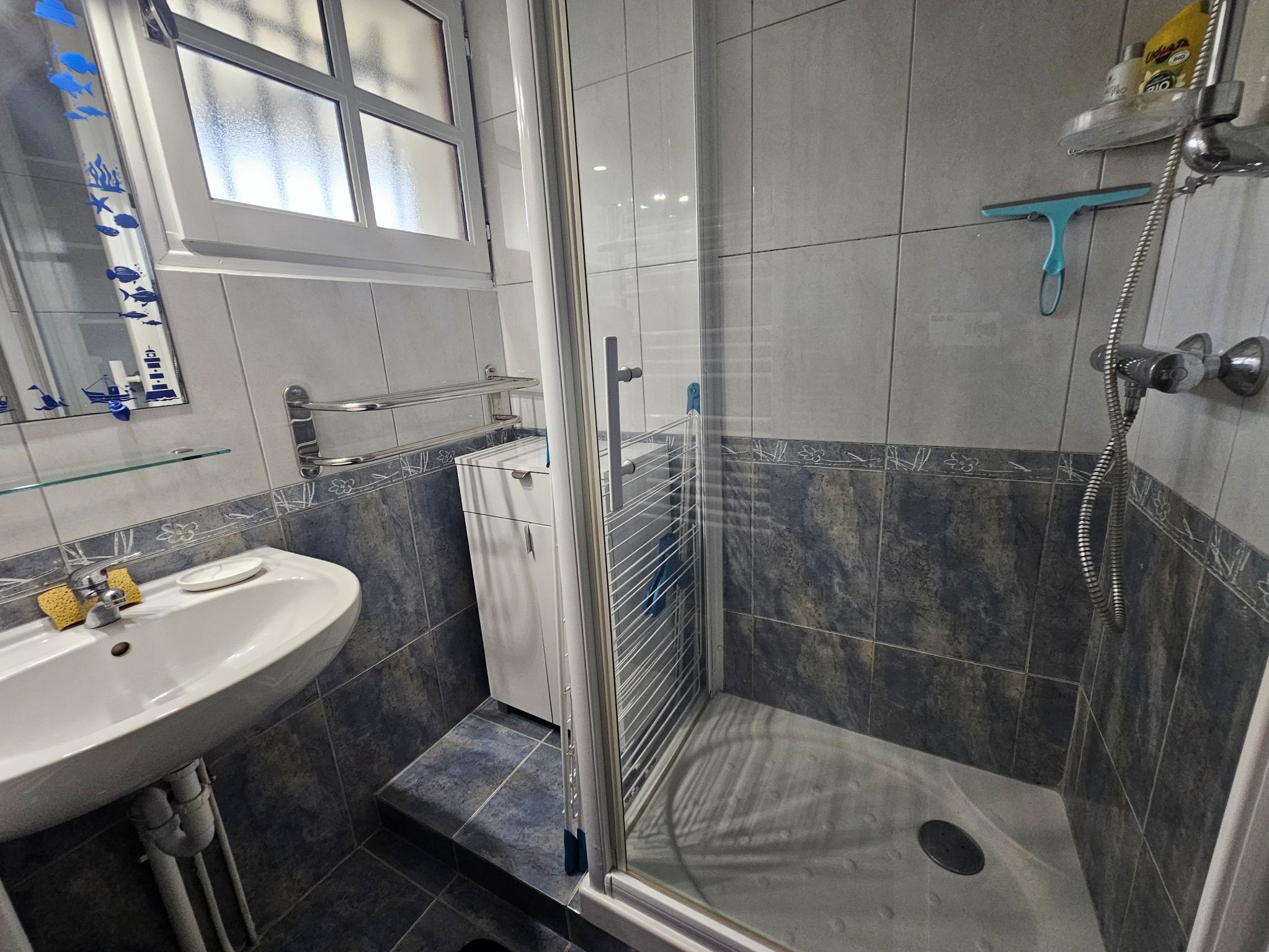 Salle d'eau avec douche, lavabo et placard