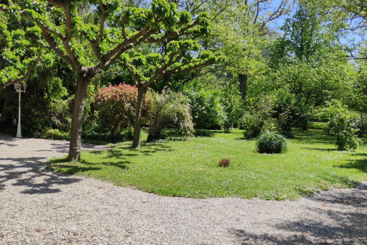 jardin