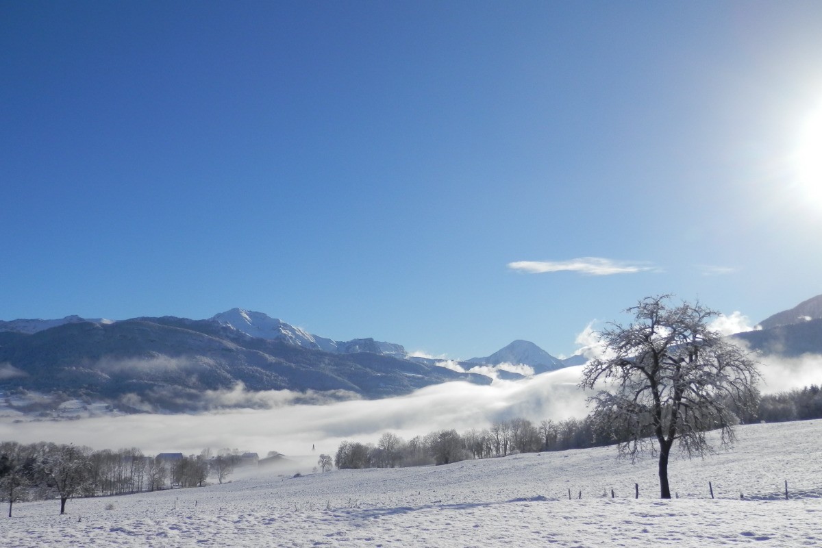 coté sud Hiver