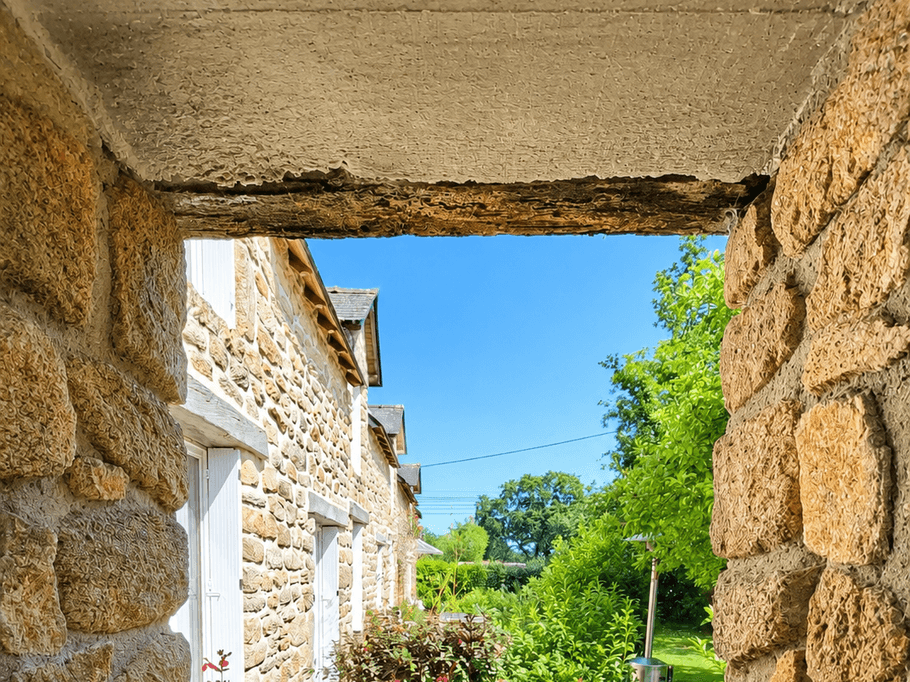 View from the kitchen window