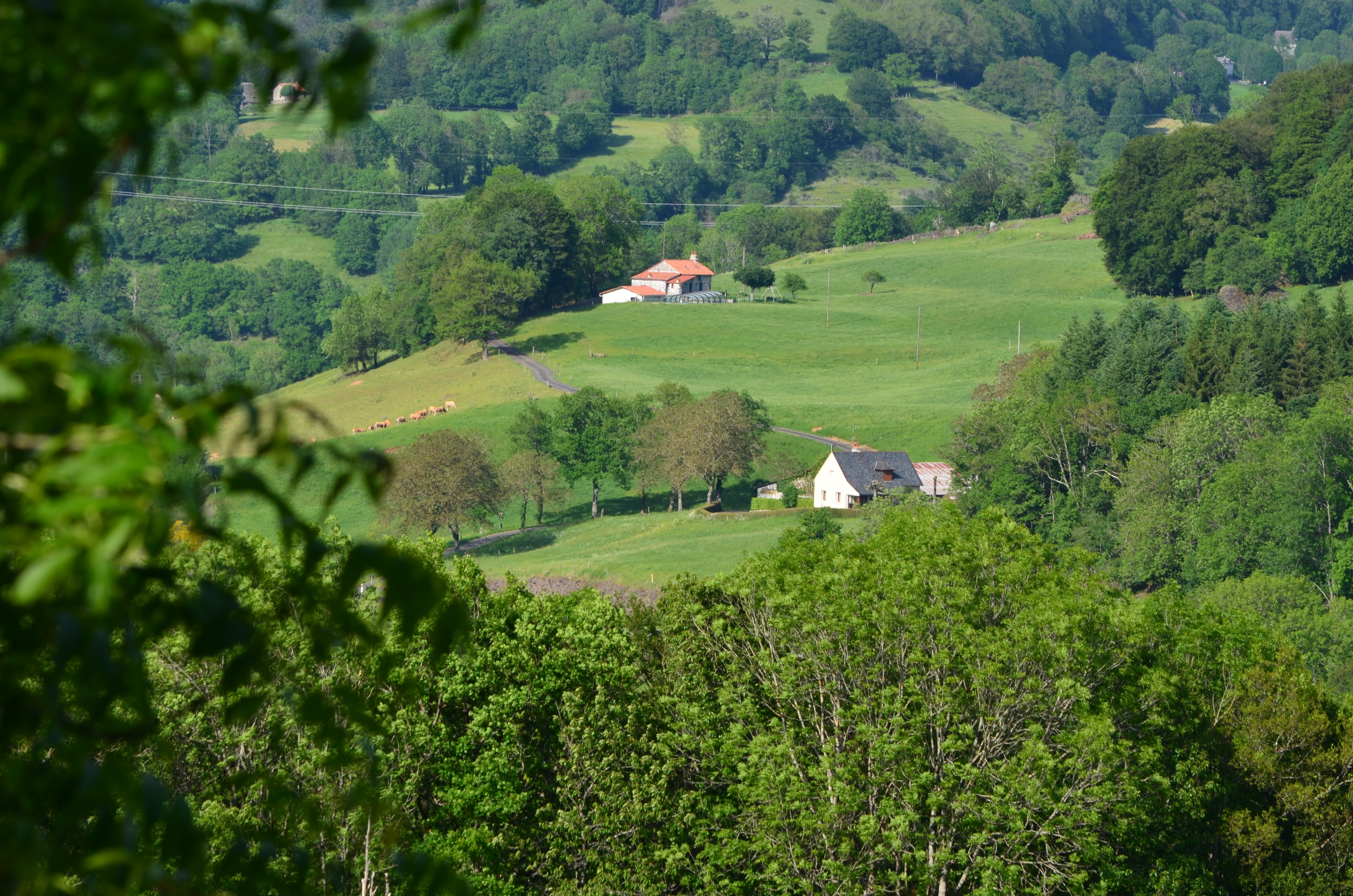 Un point de vue particulier