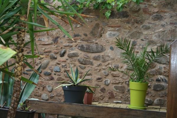 Photo n° 12 de la location