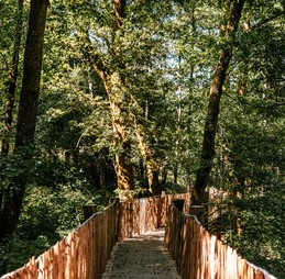 Chemin entrée - Cabane Céleste