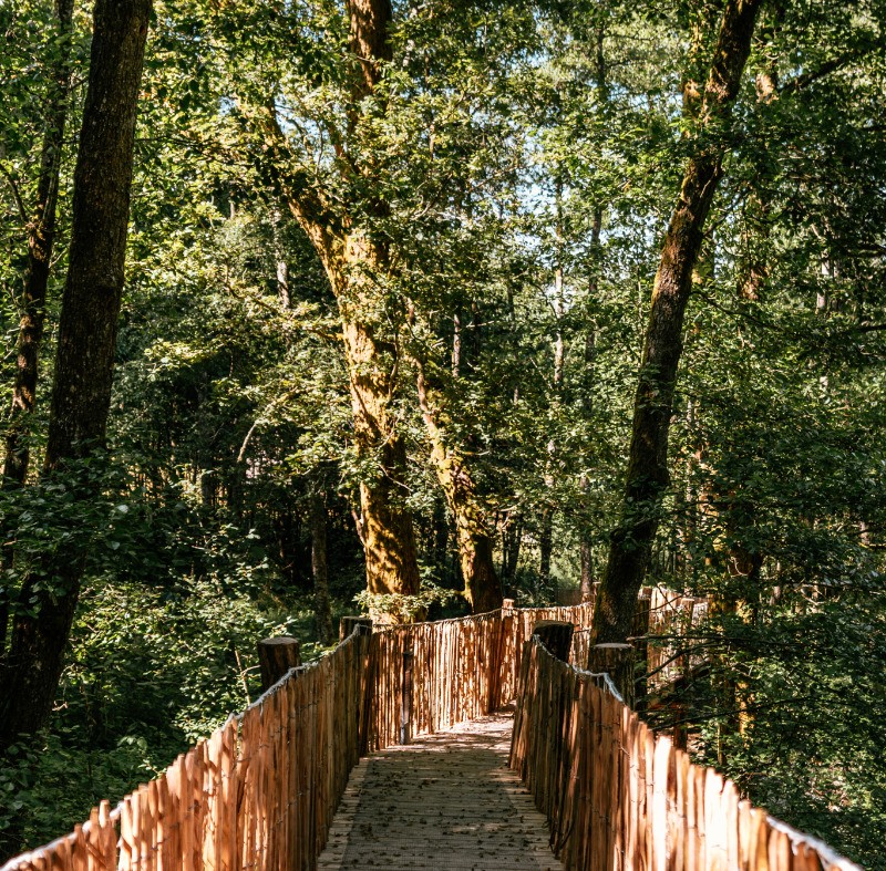 Chemin entrée - Cabane Céleste