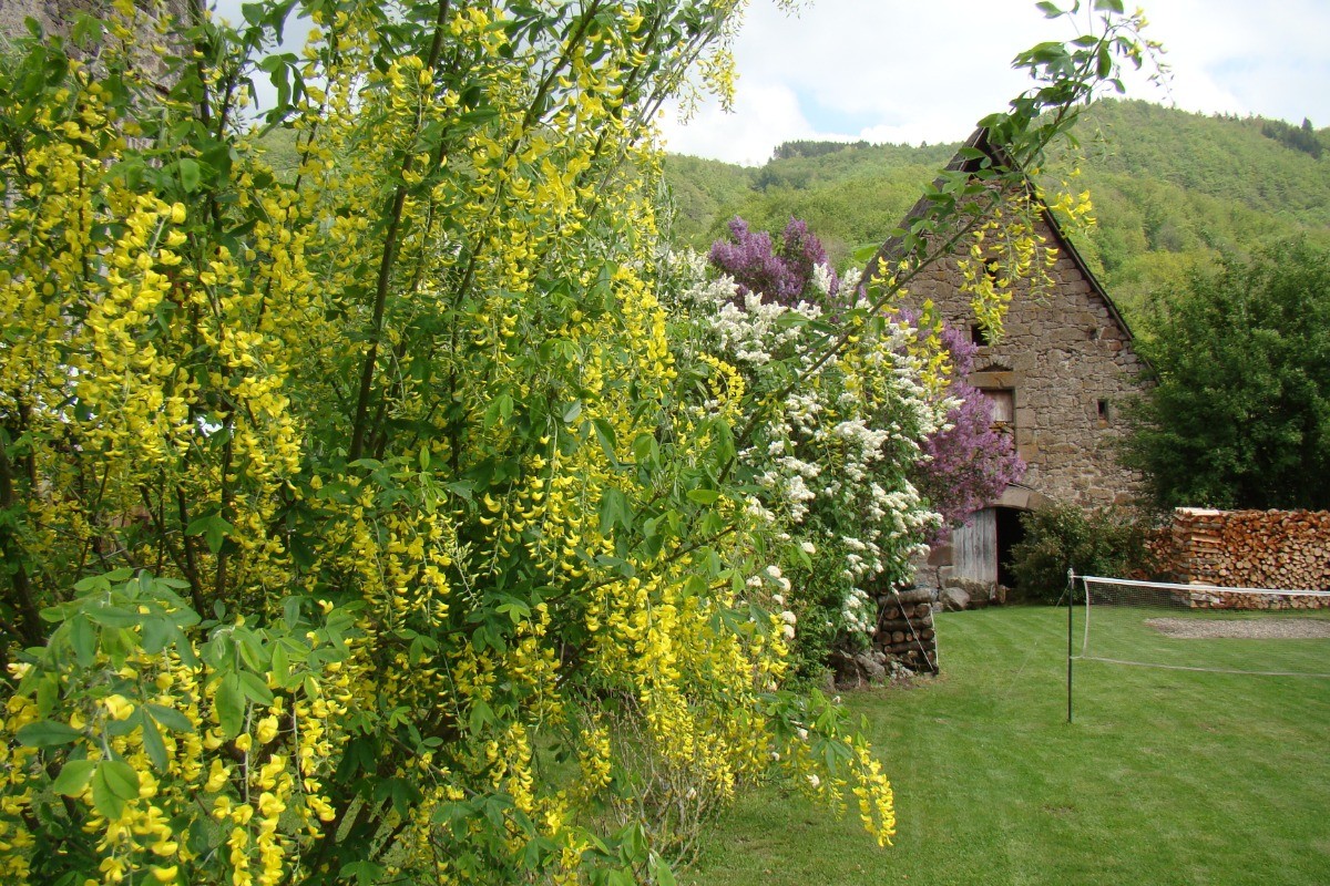 Jardin devant le gîte