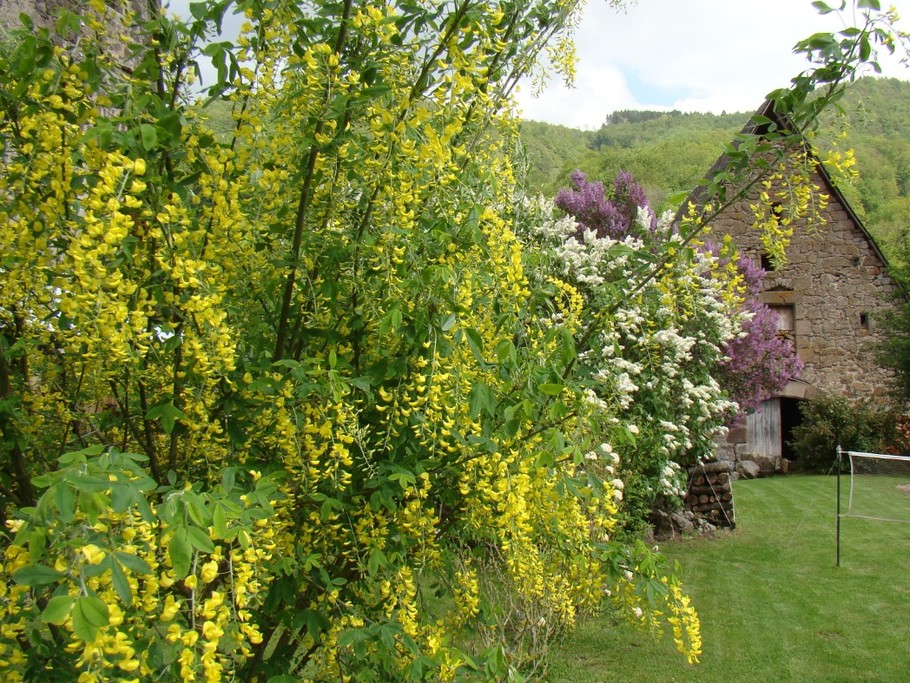 Jardin devant le gîte