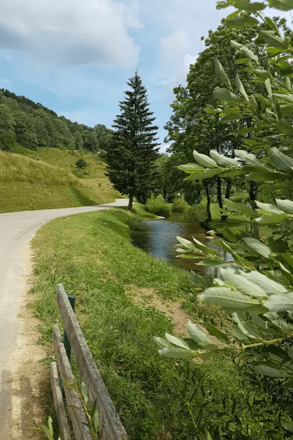 Photo n° 12 of the location