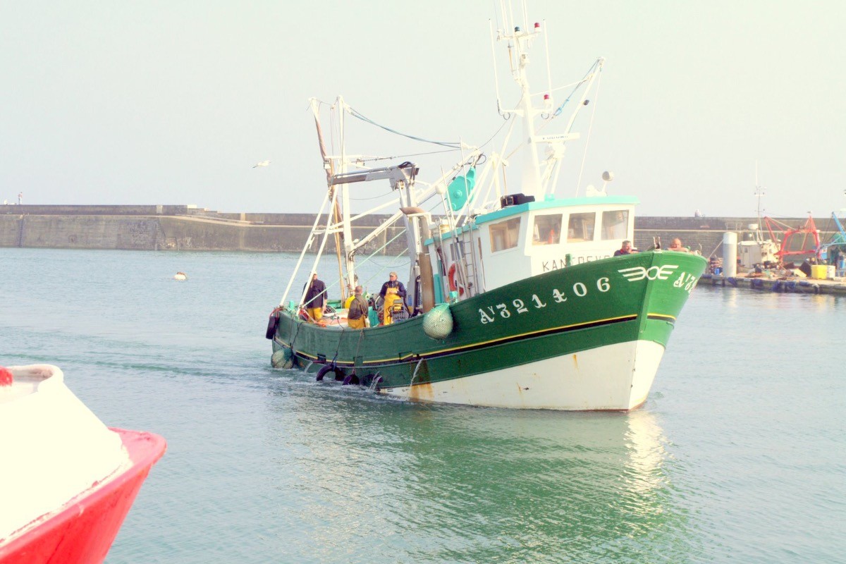 Port Maria, arrivée de la pêche