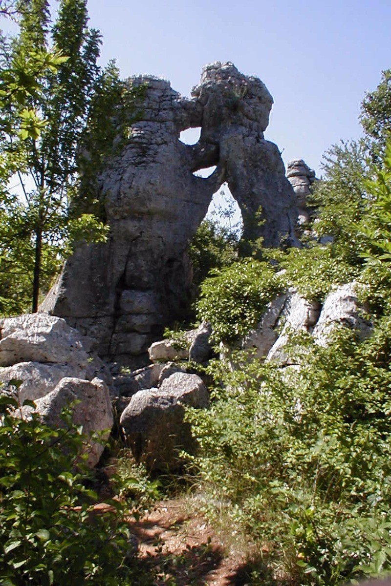 le bois de Païolive