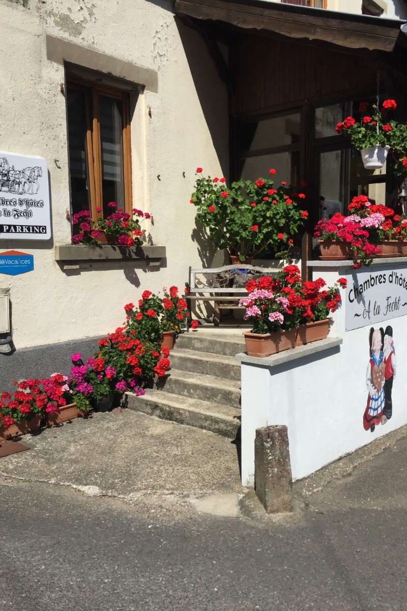 Photo n° 12 of the location