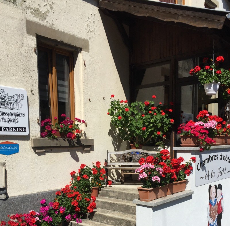 Photo n° 12 of the location