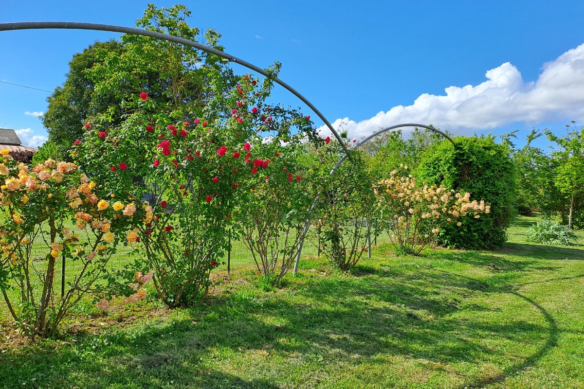 Photo n° 13 of the location