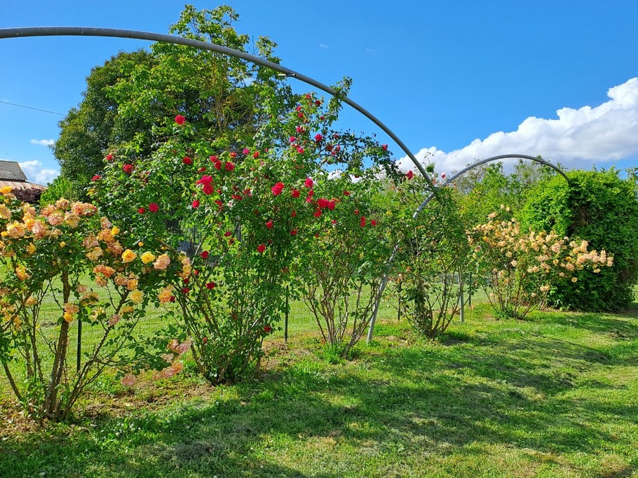 Photo n° 13 of the location