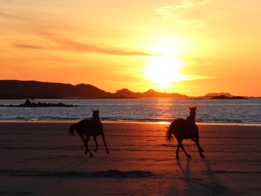 Appartement 2 pièces duplex vue mer à 50m de la plage de sable fin de Trestel, meublé de tourisme 3 étoiles, Trévou-Tréguignec, Côtes d'Armor - Bretagne - Chevaux sur la plage de Trestel