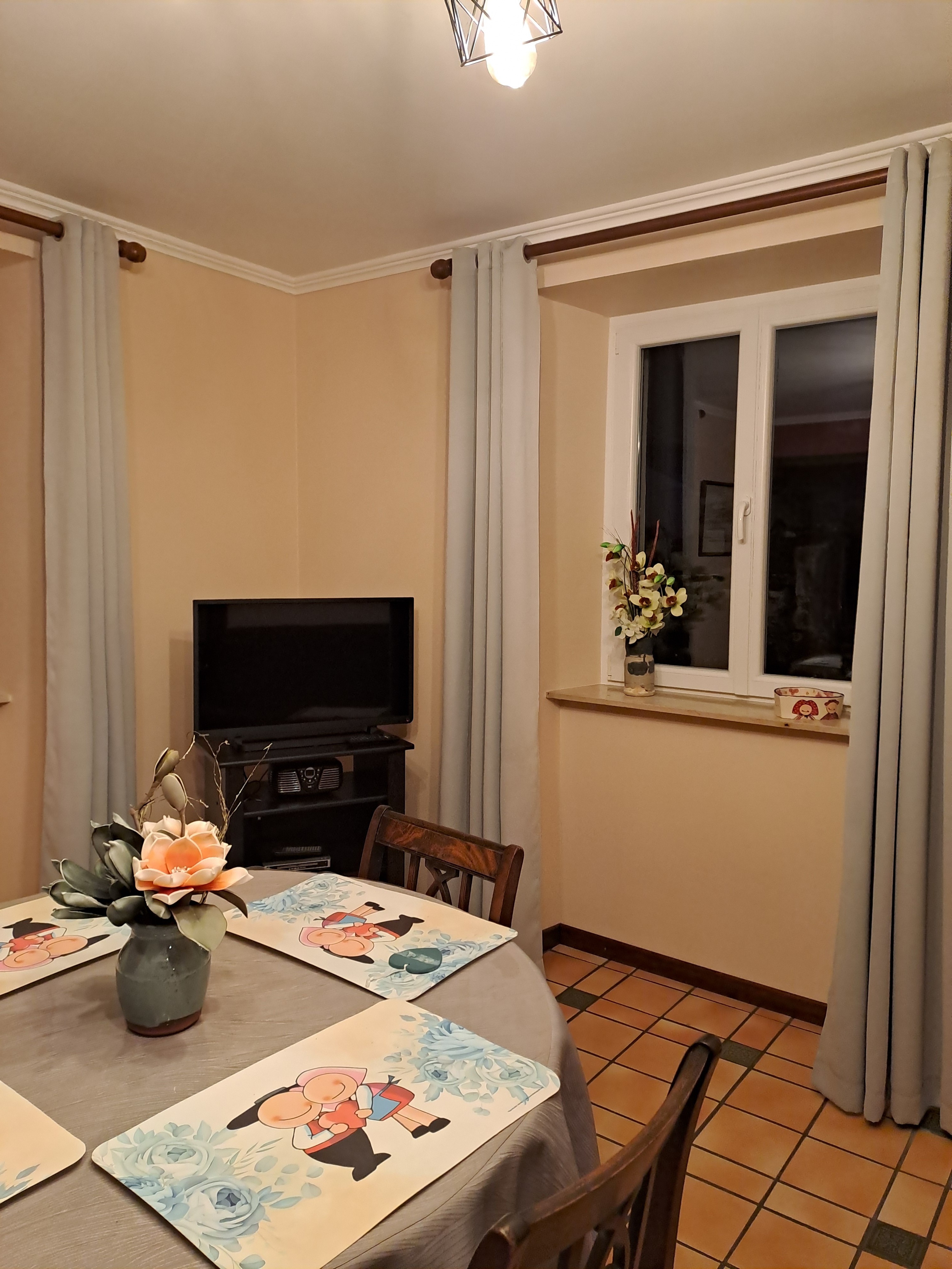 Salon/séjour