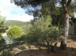 Image n° 4 de la location