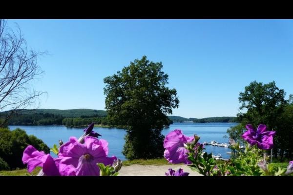 Vue sur le Lac de Vassivière fleurs Gîte Carole Beaumont du Lac 87120