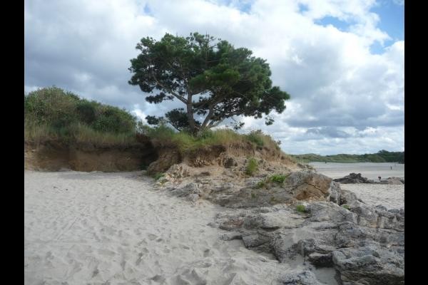 Studio "La passagère émeraude" pour 2 à 4 pers. près des plages, Beaussais sur Mer, Ploubalay (Côtes d'Armor, Bretagne) - paysages alentours