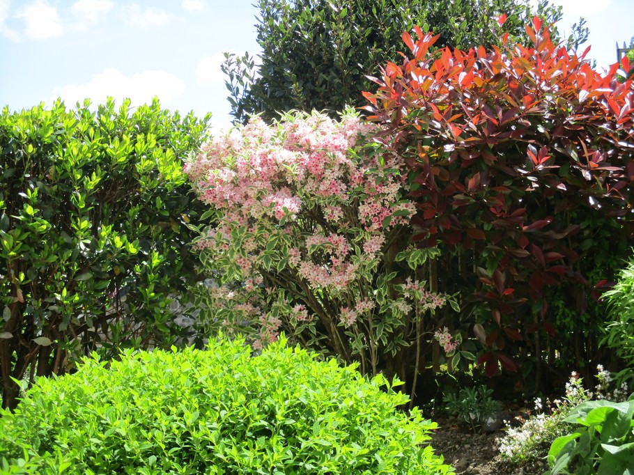Photo n° 13 of the location