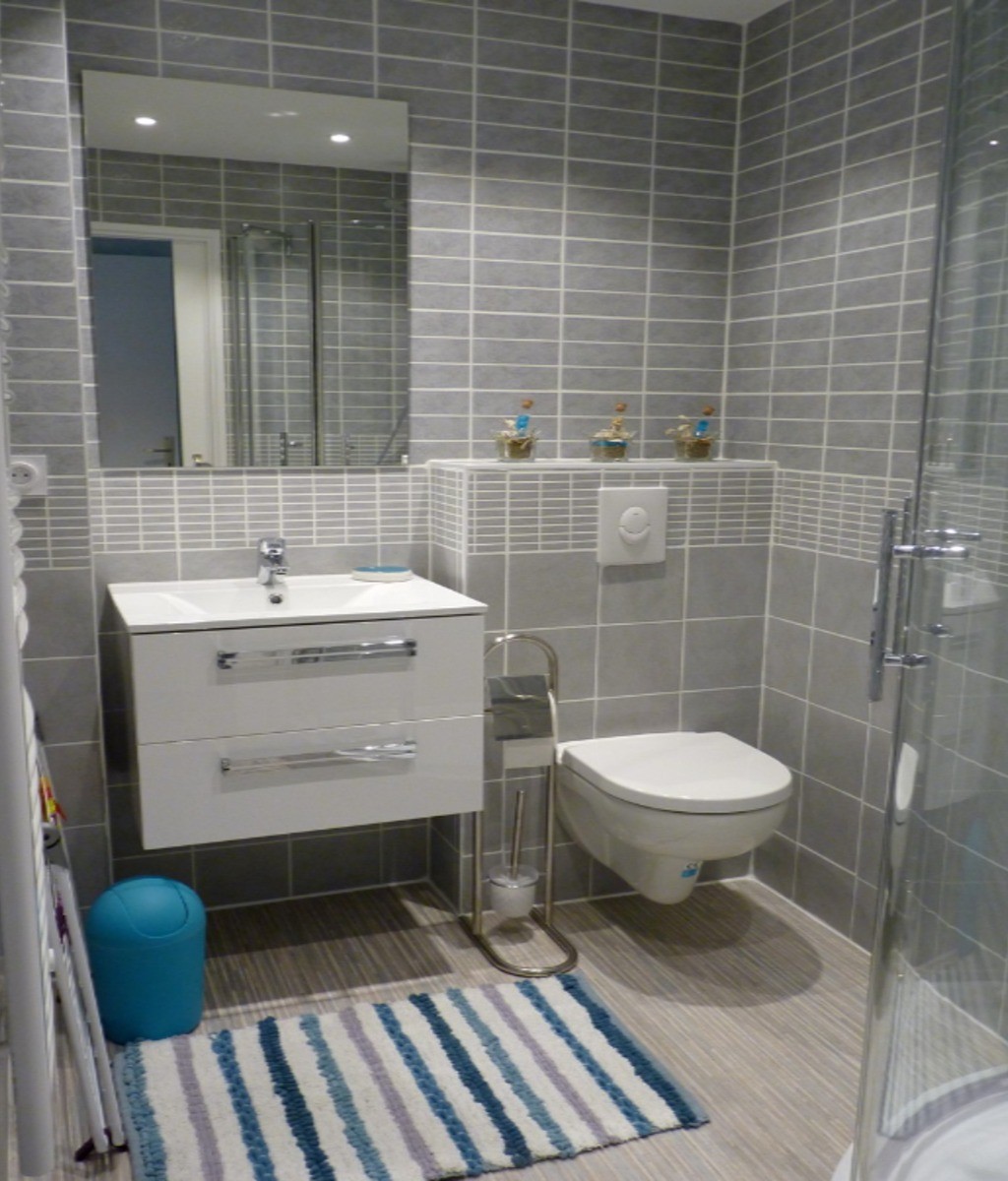 Salle d'eau avec douche et WC.