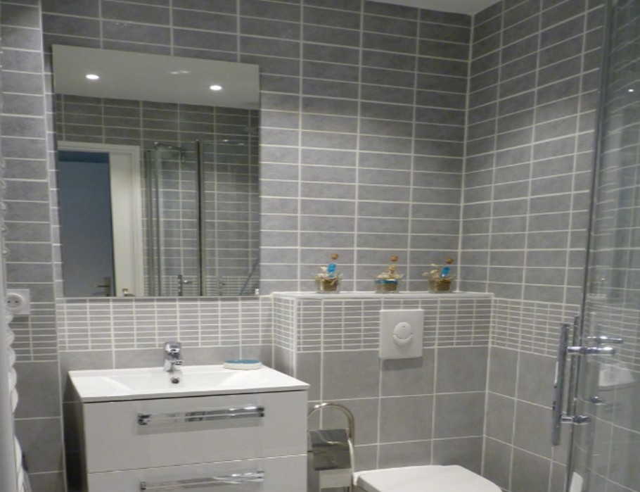 Salle d'eau avec douche et WC.