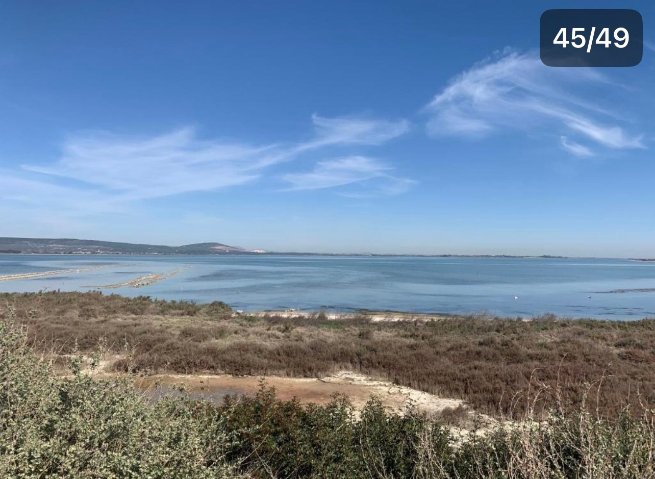 Photo n° 19 de la location