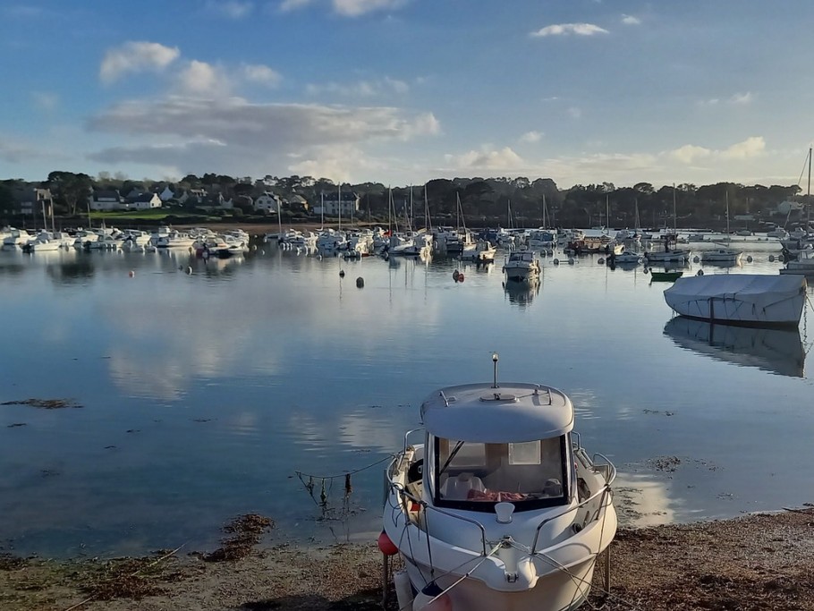 Port de Ploumanac'h à proximité