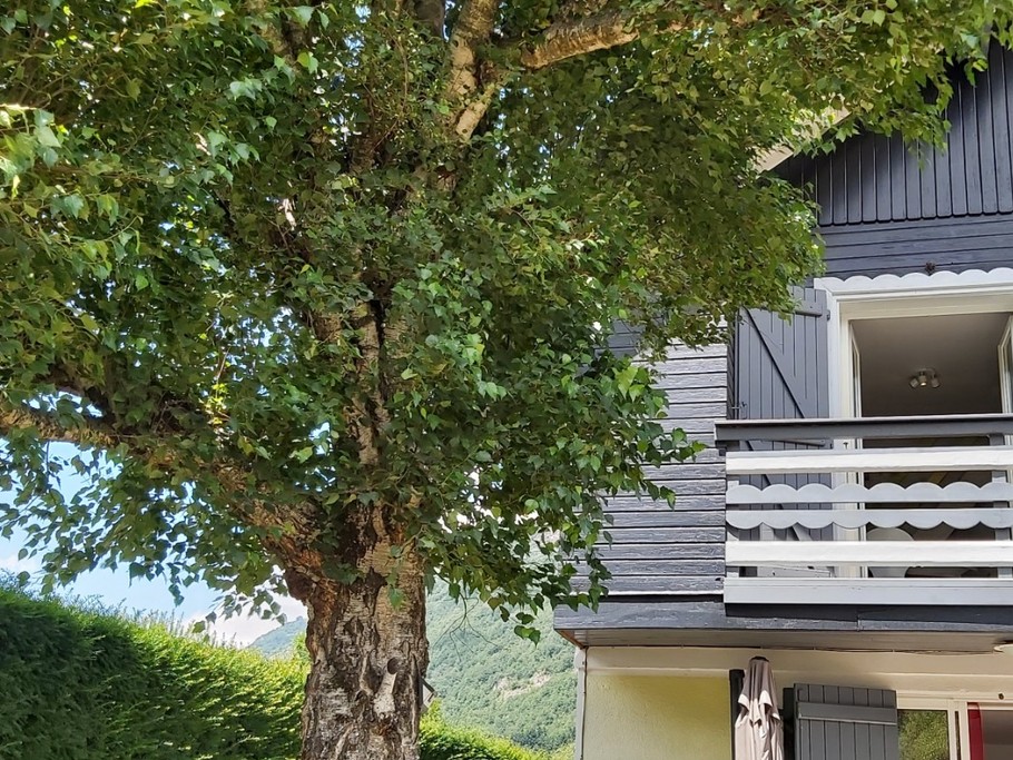 Photo n° 17 de la location