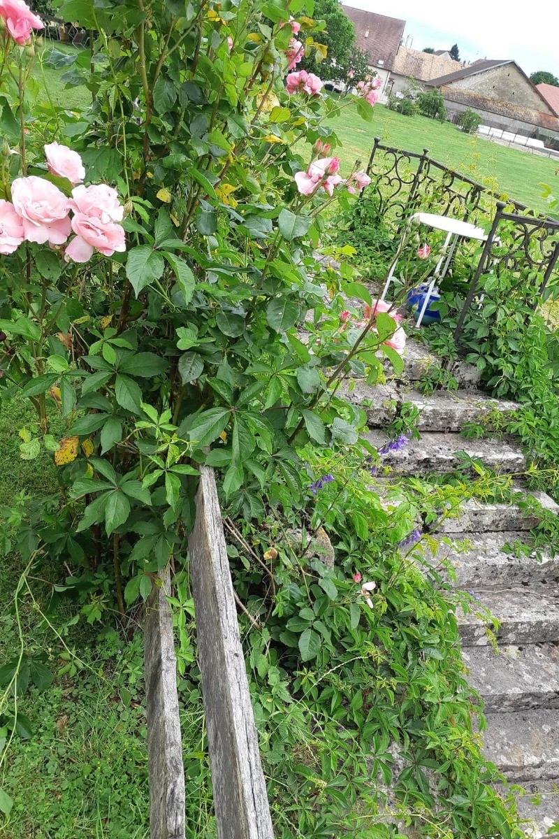 Photo n° 5 de la location