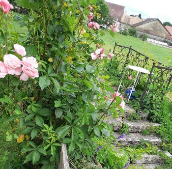 Photo n° 5 of the location