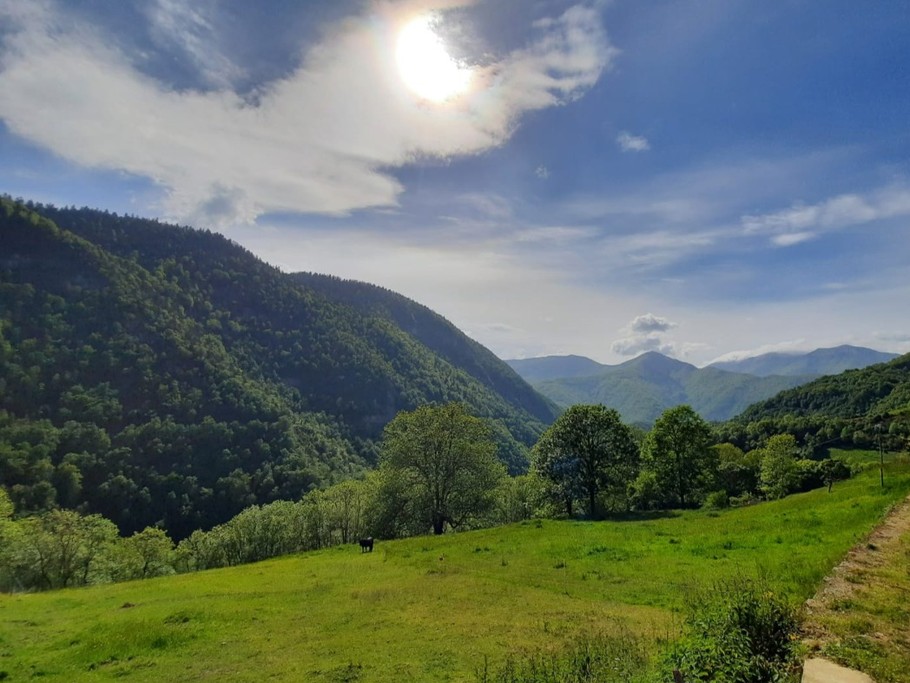 vue, à proximité de la maison