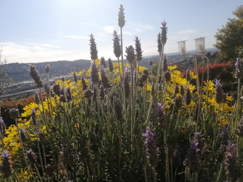exterieur jardin vue panoramique errasse chambre