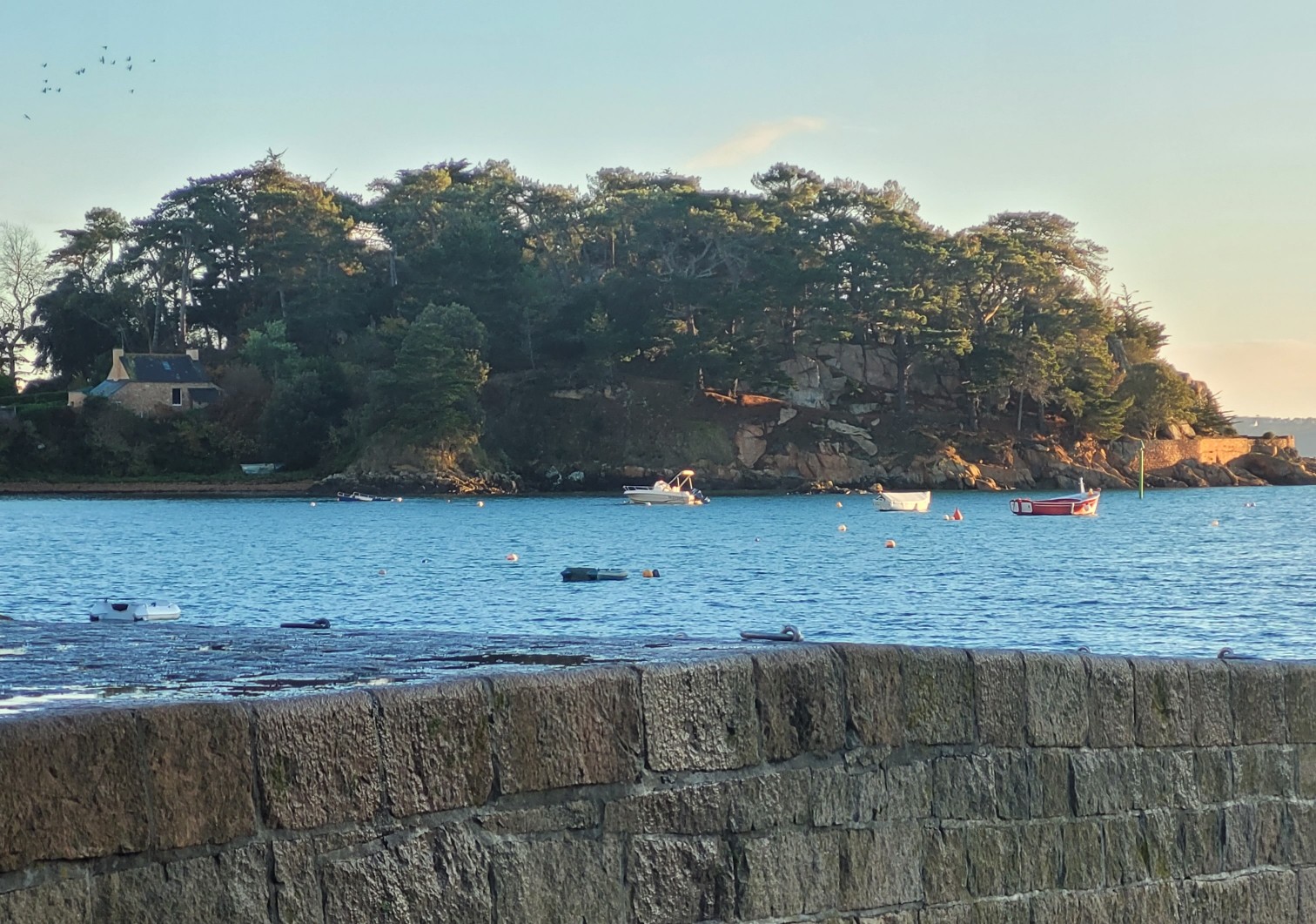 Photo n° 10 de la location