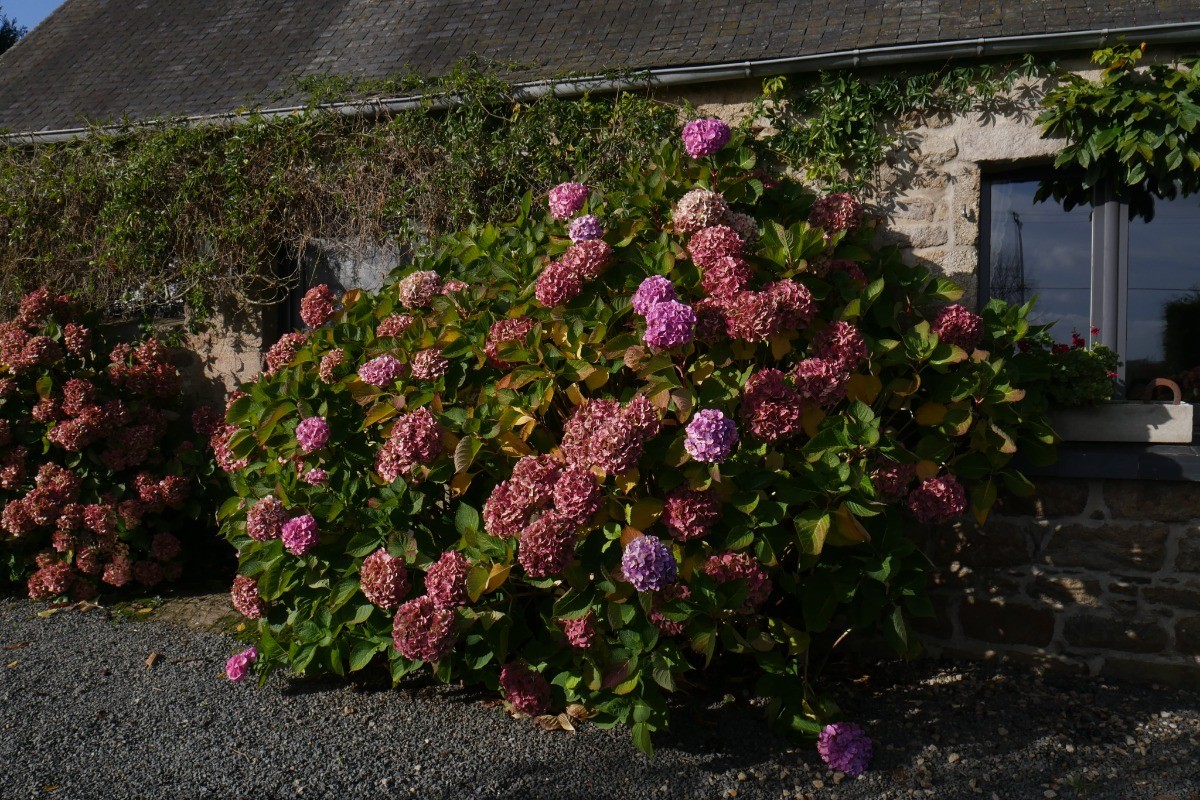 Photo n° 18 of the location