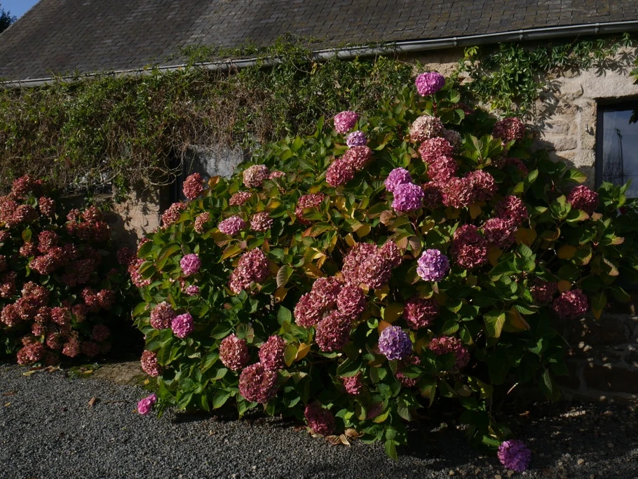 Photo n° 18 of the location