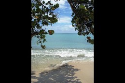 Image n° 4 de la location