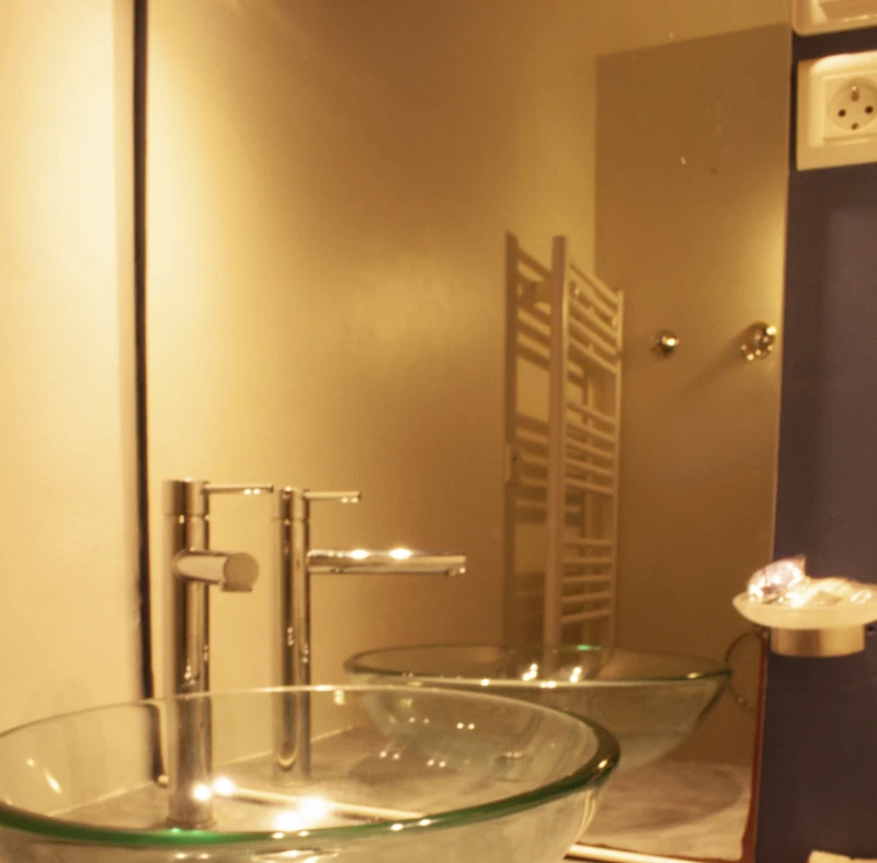 Salle d'eau (détail)