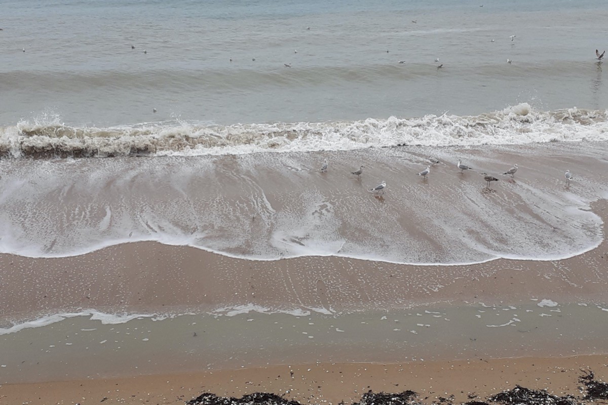 bord de mer