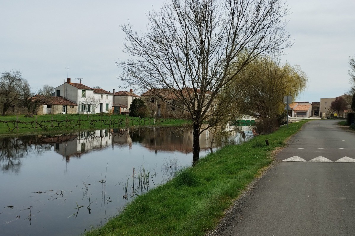Rivière l'Autize en face de la maison