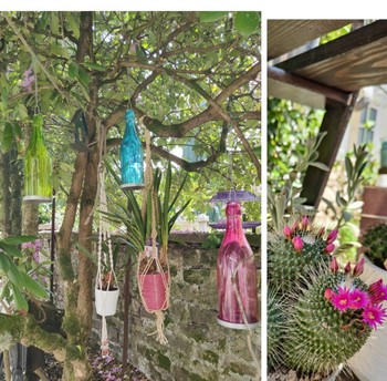 Domaine du Mélèze - Appartement - Jardin commun