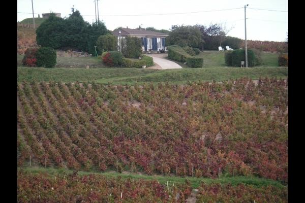 Photo n° 14 of the location