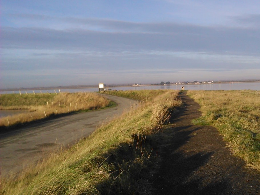 Photo n° 9 de la location