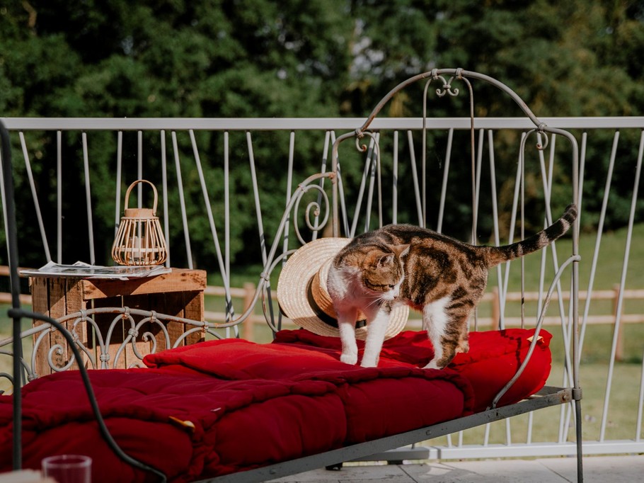 Photo n° 17 de la location