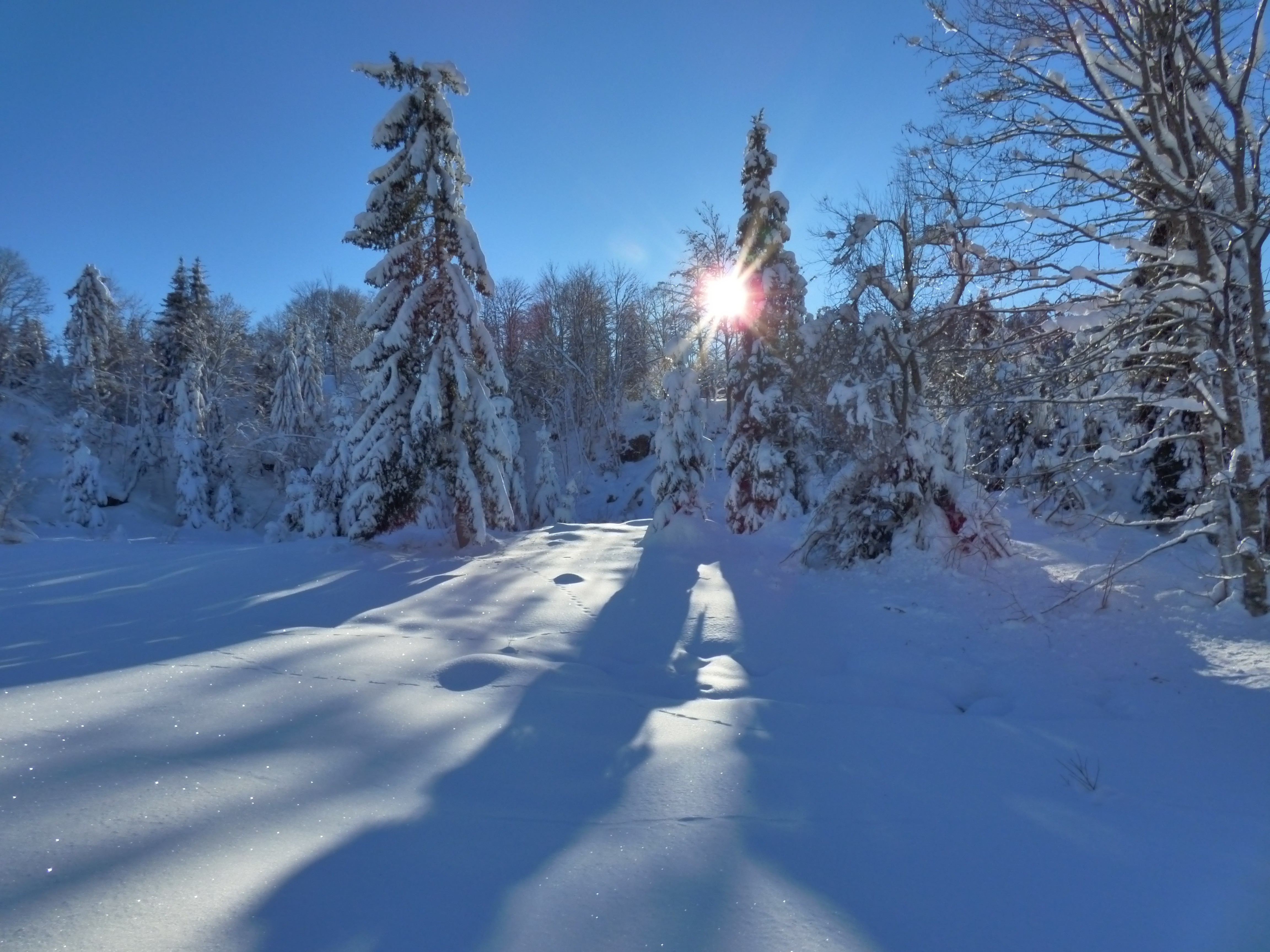 paysage d'hiver - Au camp de base