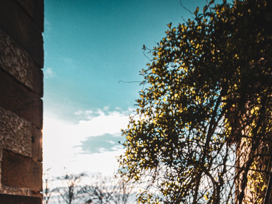 Photo n° 7 de la location