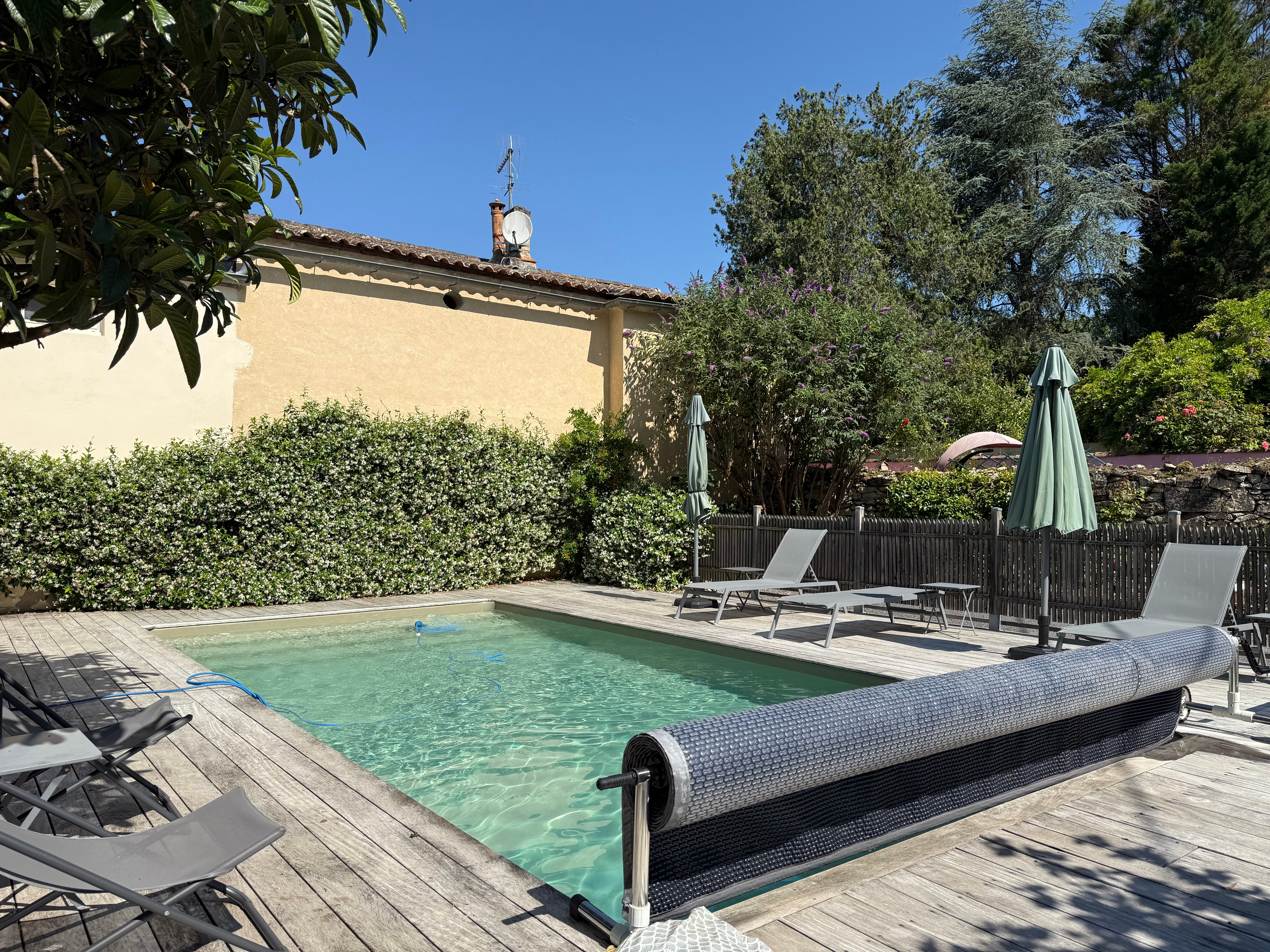 piscine avec jasmins