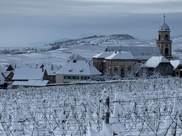 Image n° 5 de la location